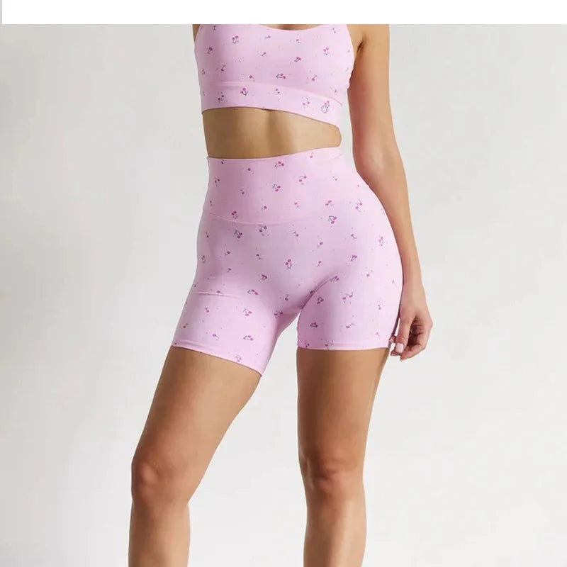 Conjunto de entrenamiento HANRAN