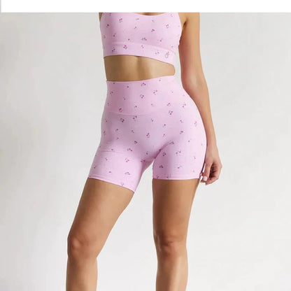 Conjunto de entrenamiento HANRAN
